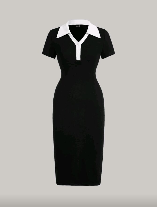 Preppy Style Black And White Contrast Collar Button Front Dress